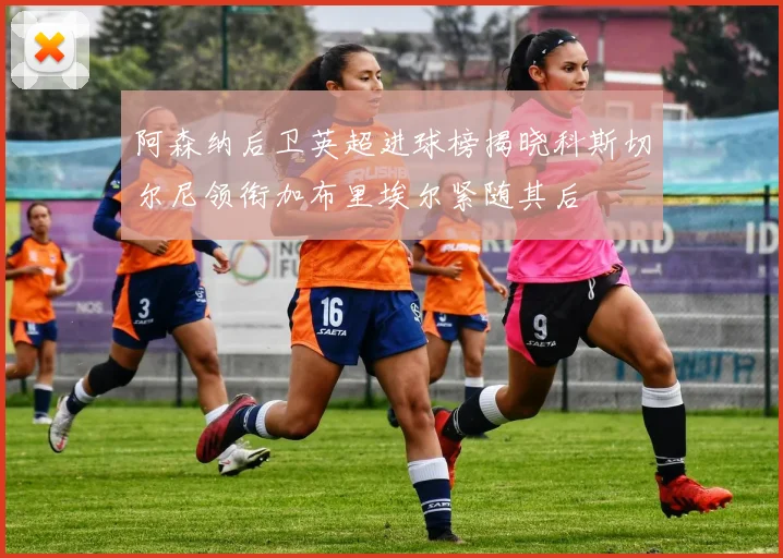 阿森纳后卫英超进球榜揭晓科斯切尔尼领衔加布里埃尔紧随其后