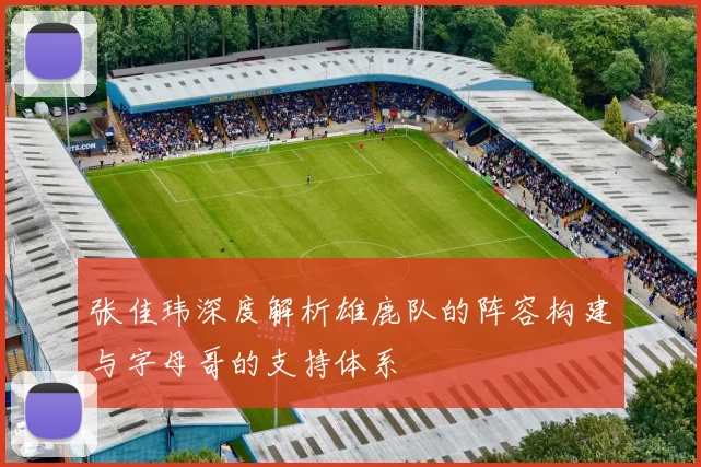 张佳玮深度解析雄鹿队的阵容构建与字母哥的支持体系