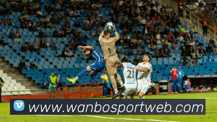 多媒体互动体验